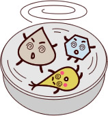 ミキサーで混ぜる