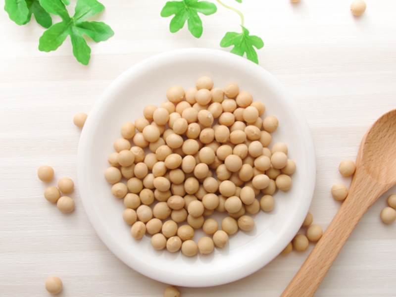 大豆