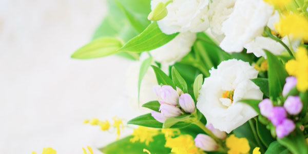 出雲そばギフト 仏事・法事 ─ 落ち着いた贈り物・粗供養に