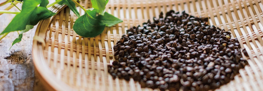 無添加・国産原料の出雲そば 贈り物に最適